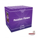 passion_flower_vuurwerk